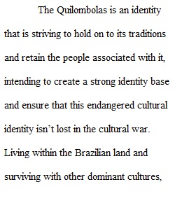 Ethnography Essay Part 4_Introduction to Cultural Anthropology